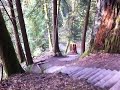 video2.mov Video