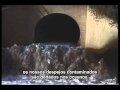 Ver Video