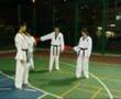 Taekwon-Do