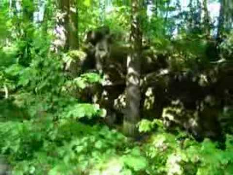 Pozezdrze - Himmler's secret HQ