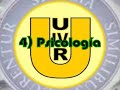 LAS SIETE MIRADAS DE PAULO FREIRE