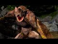 Age of Conan DirectX 10 demo