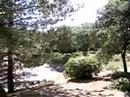 Pont du gard