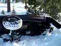 toyota-10-squirrel