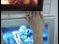 Outdoor waterproof slim light box