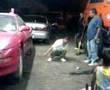 piedras negras pelucho  amigos