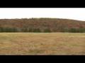 Ashville, Alabama 100 Acres on Shoal Creek Rd