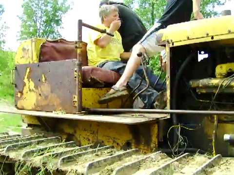 farm bull