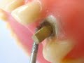 Produtos Odontol�gicos