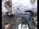 Fishing Day Part 1