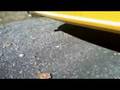 videos de Whipple + Hot Rod Cams