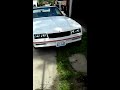 Click here to watch this video Big Bro's 88 T Top Monte.3gp
