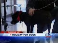 christmas clip