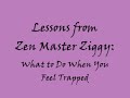 ZMZLessons_Feel_Trapped.wmv
