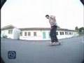 Paul Rodriguez- 411vm #63