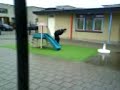 joshua en zijn NIEUW speeltuin