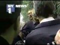  - MovieZen Video