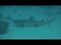 Huvafen Fushi Diving 2005