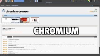 Chromium browser – video review