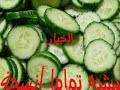 عجائب خلق الله سبحانه وتعالى