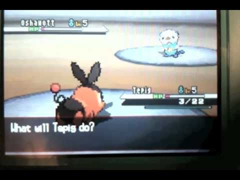 how to fix pokemon black no exp