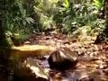 Utuado-Puerto-Rico