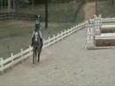 Me trying out Caity! (5 yr old grey holsteiner mare- hunter) Me trying out Caity! (5 yr old grey holsteiner mare- hunter)