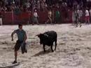 cogida-en-los-encierros-de-darro-granada.html