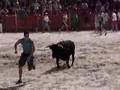 Cogida en los encierros de Darro (Granada)