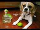 Happy New Year! Happy New Year!