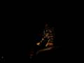 videos de Chayah Man!!!!