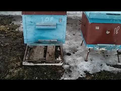 YouTube Трейлер