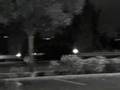 Low Light Test