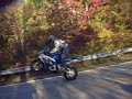 Walnut, Stand Up Wheelie