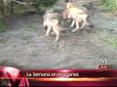 LA SEMANA EN IMAGENES 12 DE DICIEMBRE 2008