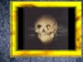 skull evolution