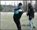 Este video (dejado por nuestro fiel amigo 
