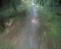 Dalbeattie Forest Dalbeattie Forest