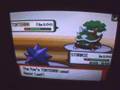 DP Wi-Fi Battle: Sakurina vs. Faint
