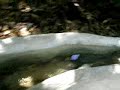 carrera de barcos en la Alhambra