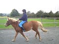 Me on my pony Spice