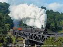 Norfolk & Western Southern Steam Slide Show - 611-1218-4501