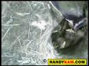Blue tit camera nest box story 2008 - Clip 11 - Handykam.com