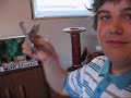 (meet colin) (meet colin)