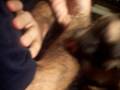 videos de Imagen 022