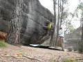 la del arbol 7a maki sant joan