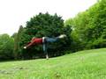 videos de butterfly kick
