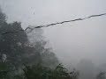 sw-florida-thunderstorms.html
