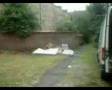 Beautiful Govanhill