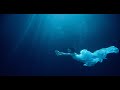   (Official Music Video) 